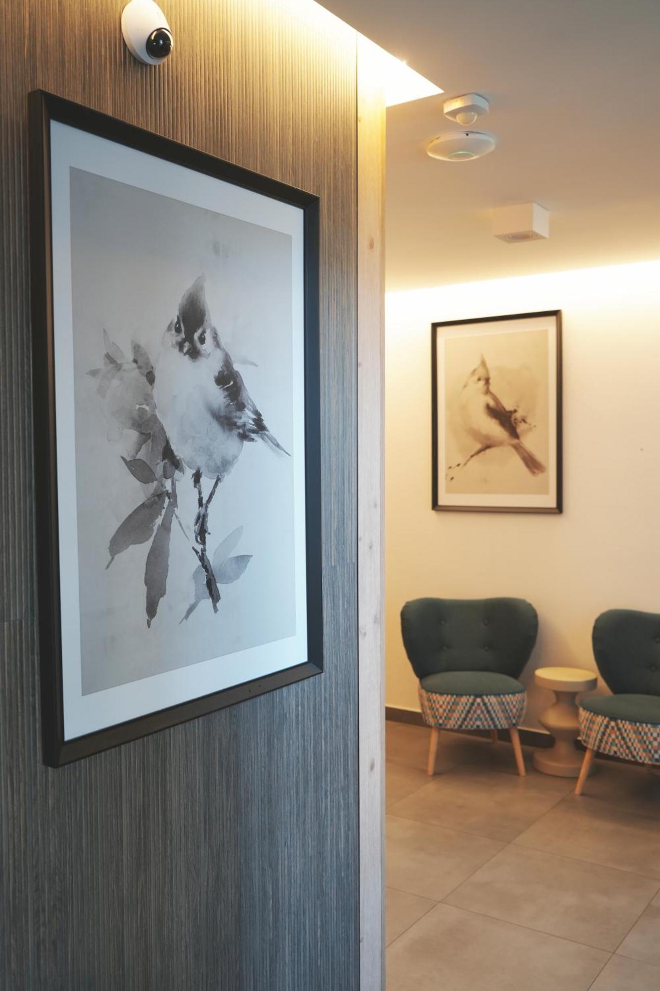 Villa Monica Apartamenty Szczyrk Kültér fotó